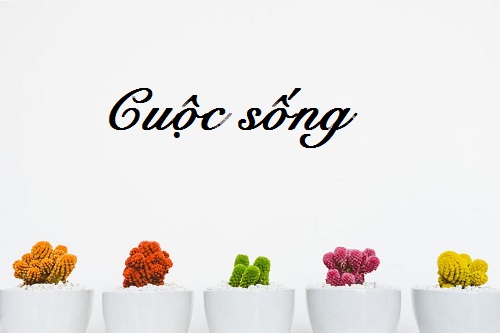 Cau noi hay ve cuoc song ma ai cung nen doc mot lan trong doi