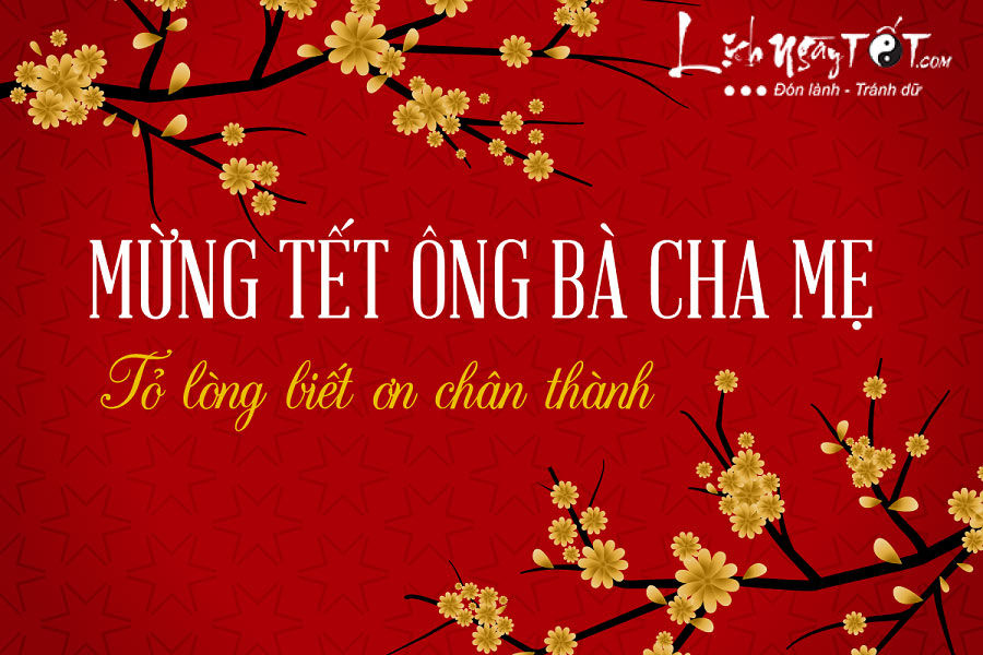 Chuc tet ong ba, chuc tet cha me