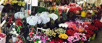 Shop hoa tươi Huyện Củ Chi