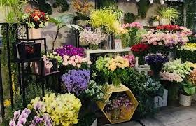 Shop hoa tươi Quận Bình Tân..