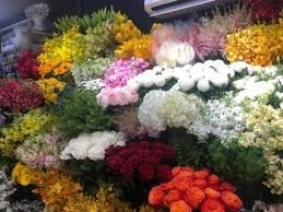 Shop hoa tươi Quận Bình Tân..