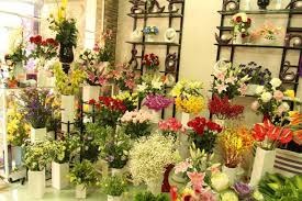 Shop hoa tươi Quận Phú Nhuận
