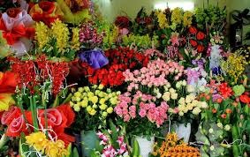 Shop hoa tươi huyện Ba Vì