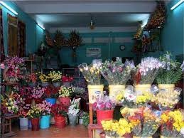 Shop hoa tươi Huyện Bù Đăng..