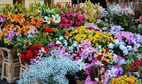 Shop hoa tươi Huyện Cẩm Khê
