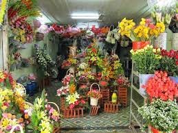 Shop hoa tươi Huyện Đầm Dơi..