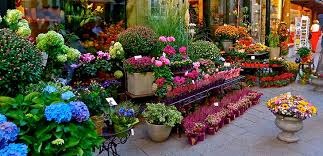 Shop hoa tươi Huyện Ea Kar