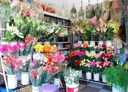 Shop hoa tươi Huyện Hòa Bình..