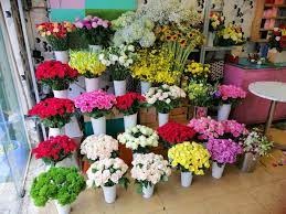 Shop hoa tươi Huyện Yên Mô
