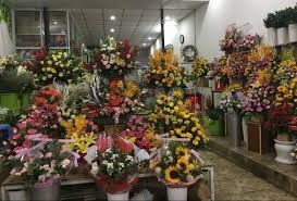 Shop hoa tươi Huyện Hồng Dân