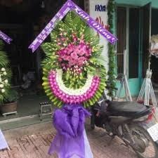 Shop hoa tươi Huyện Phú Giáo..