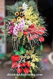 Shop hoa tươi Huyện Phú Tân