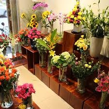 Shop hoa tươi Huyện Yên Khánh
