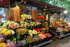 Shop hoa tươi Thành phố Hòa Bình