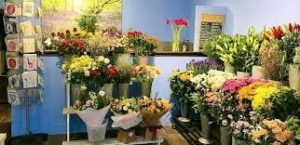Shop hoa tươi Thành phố Thái Bình..