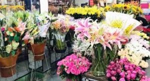 Shop hoa tươi Yên Minh..
