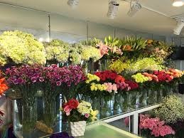 Shop hoa tươi huyện Đà Bắc