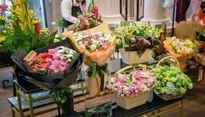 Shop hoa tươi huyện Lạc Thủy