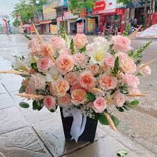 Shop hoa tươi huyện Mường Khương..