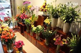 Shop hoa tươi huyện Tam Đường.