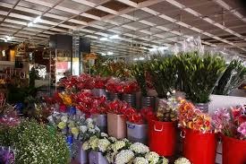 Shop hoa tươi huyện Than Uyên..
