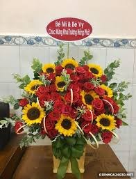 Shop hoa tươi huyện Văn Bàn