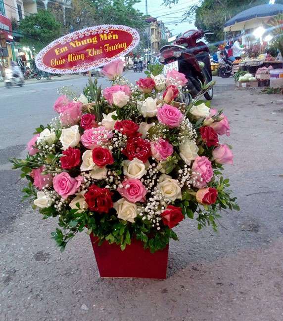 5 Loài Hoa Đẹp Nhất